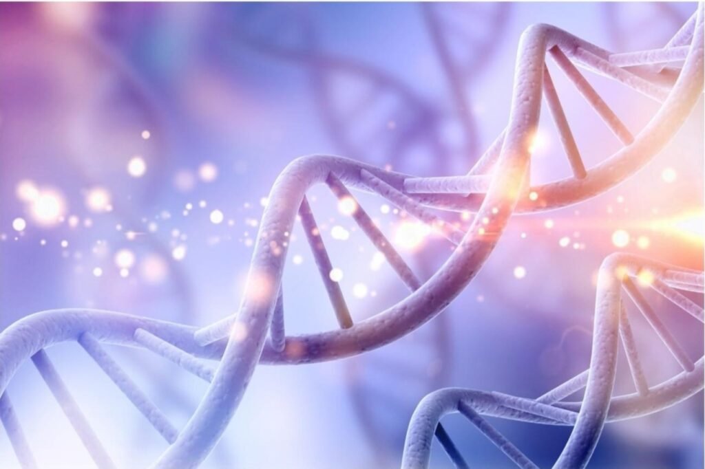 Genetic factors that influence inflammatory Arthritis and Ankylosing Spondylitis HLA B27