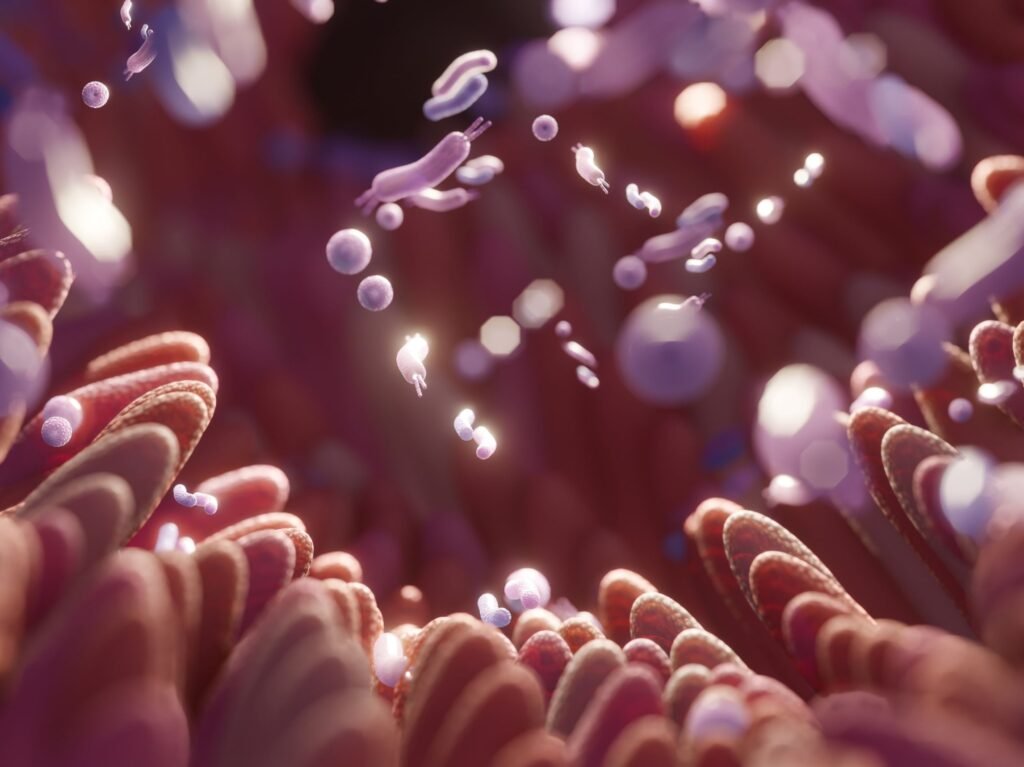 Antibiotics and NSADs effect the tight junctions in the gut and cause intestinal permeability and inflammation.