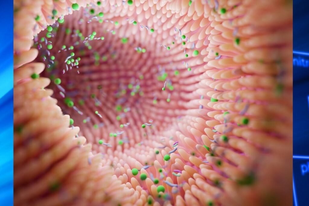Gut Health and Microbiome have a major influence on disease such as Arthritis