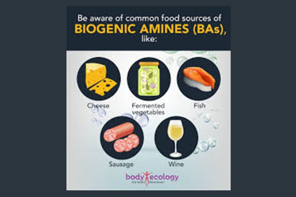 Food Amines can disrupt gut integrity leading to inflammation and autoimmune disease