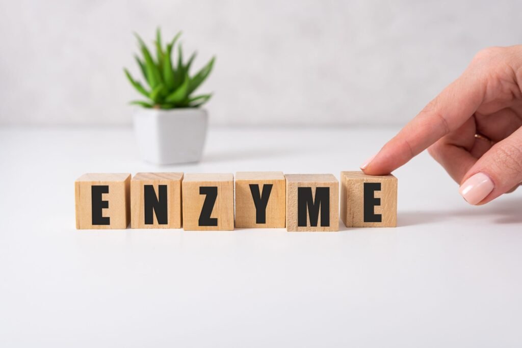 Enzymes are important for healing from Arthritis, inflammation and back pain.