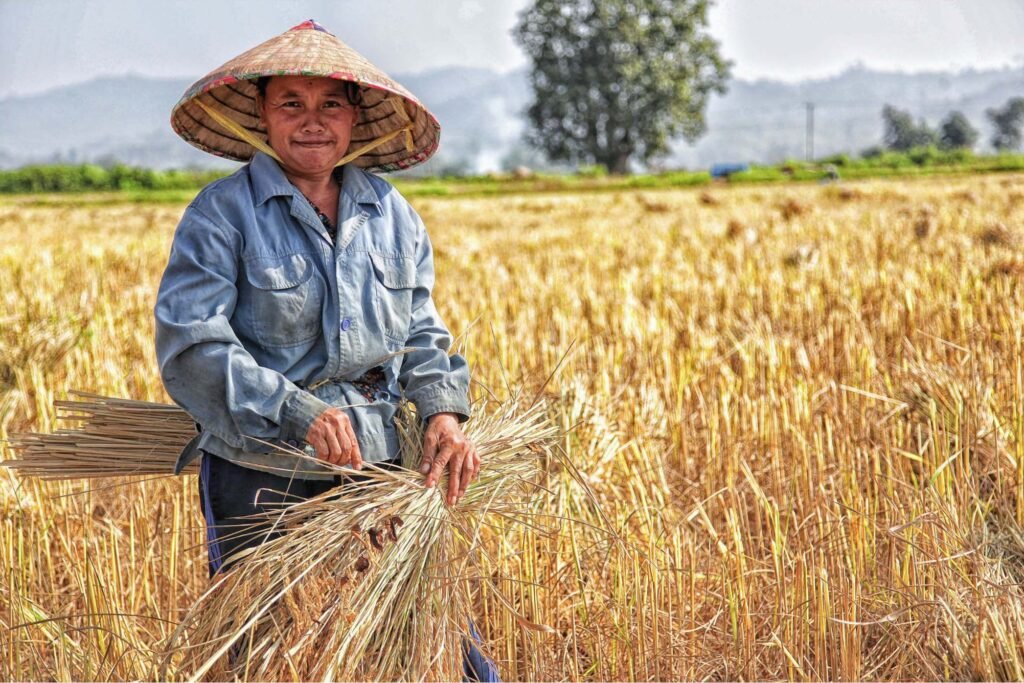 Modern agriculture and Arthritis