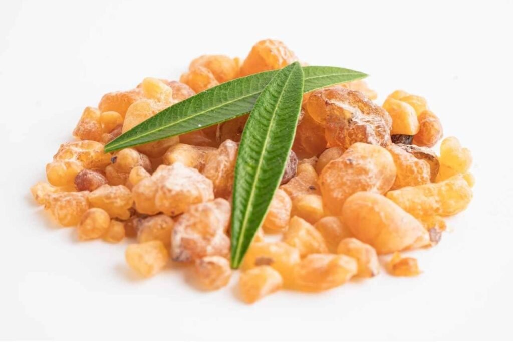 How Boswellia / Frankincense can help with Arthritis and Back Pain.