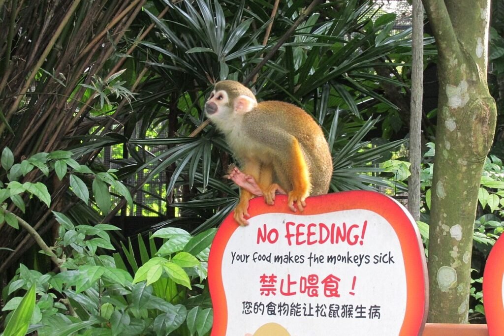 Human food makes animals sick.