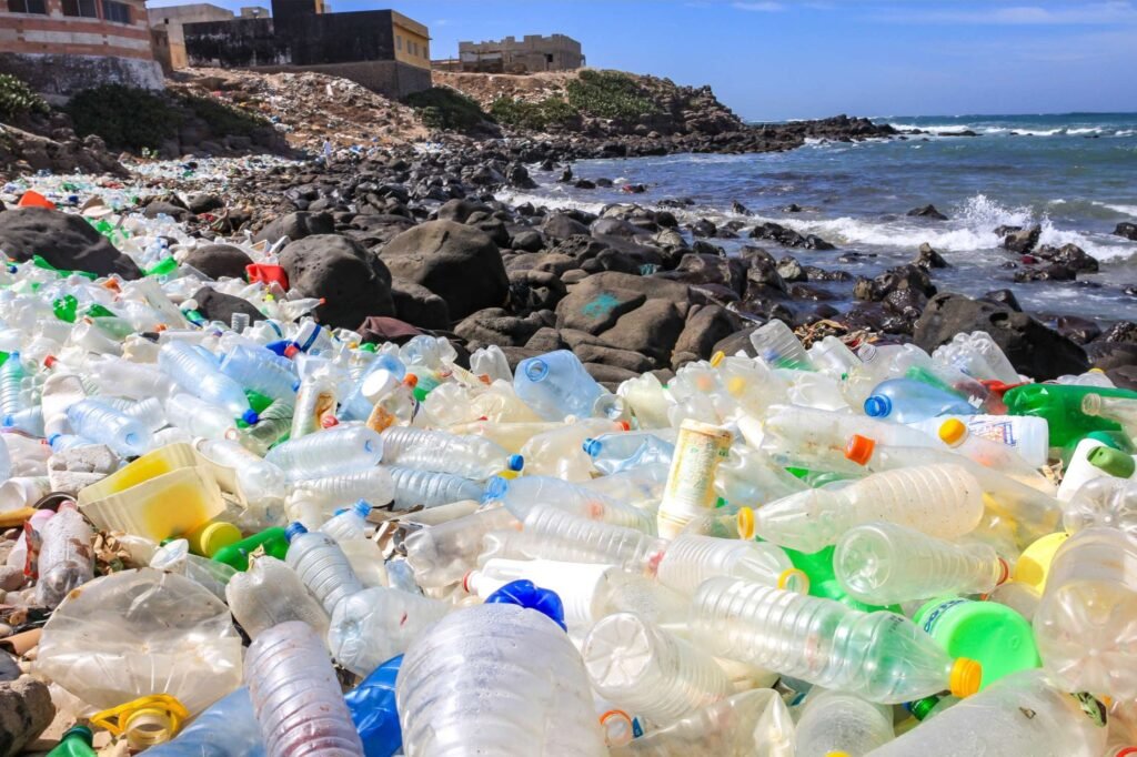 Micro plastics BPA and arthritis