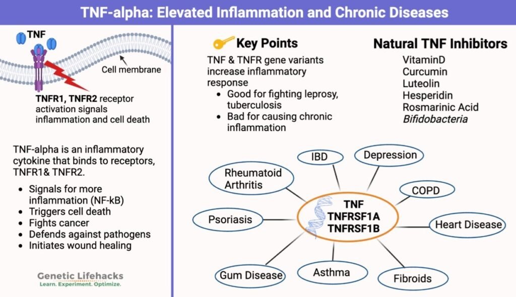 TNF alpha and Arthritis