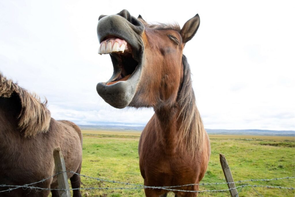 Laughter as medicine