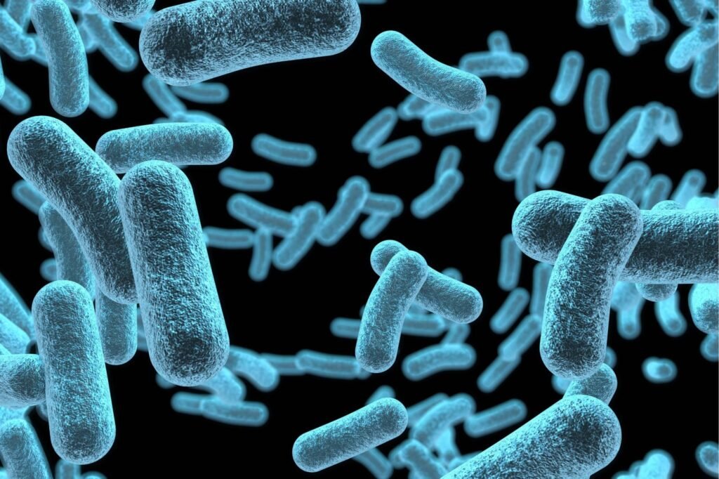 An Imbalance of microbes in the gut can cause arthritis