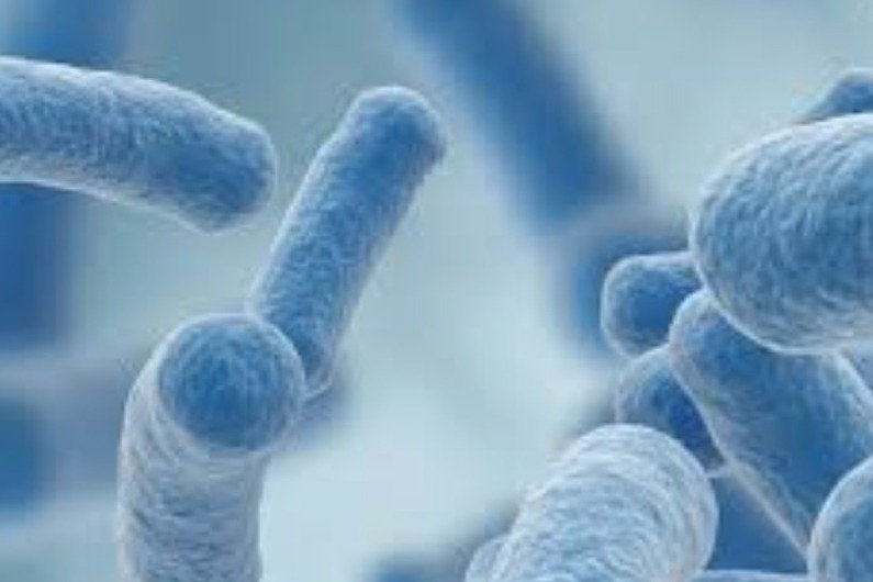 Ruminococcus gnavus, inflammation and Arthritis