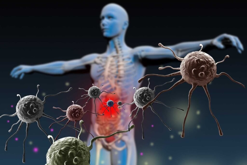 The Immune System and how it modulates inflammation
